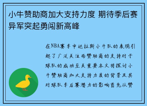小牛赞助商加大支持力度 期待季后赛异军突起勇闯新高峰