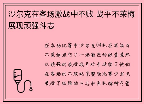 沙尔克在客场激战中不败 战平不莱梅展现顽强斗志