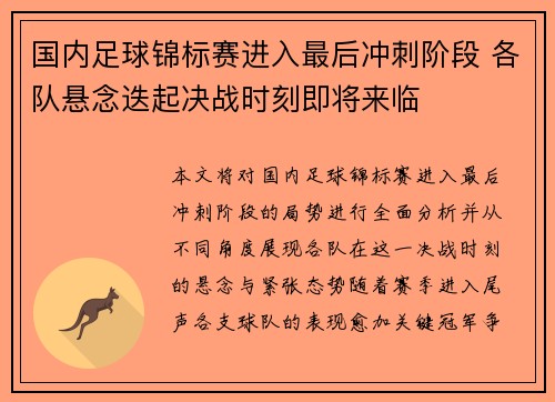 国内足球锦标赛进入最后冲刺阶段 各队悬念迭起决战时刻即将来临