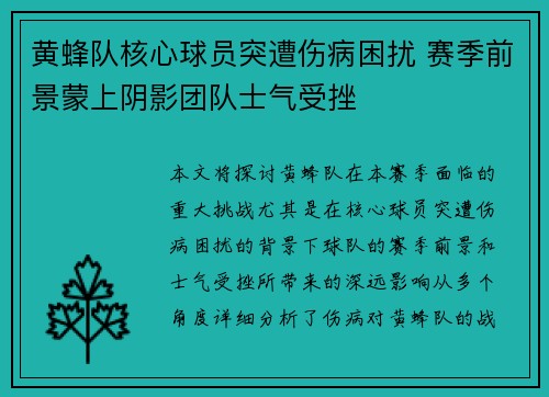 黄蜂队核心球员突遭伤病困扰 赛季前景蒙上阴影团队士气受挫