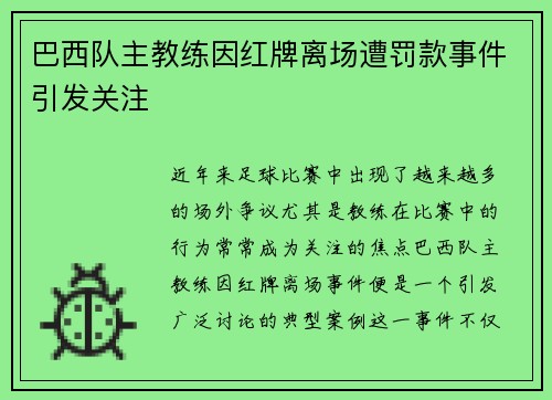 巴西队主教练因红牌离场遭罚款事件引发关注