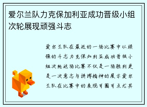 爱尔兰队力克保加利亚成功晋级小组次轮展现顽强斗志